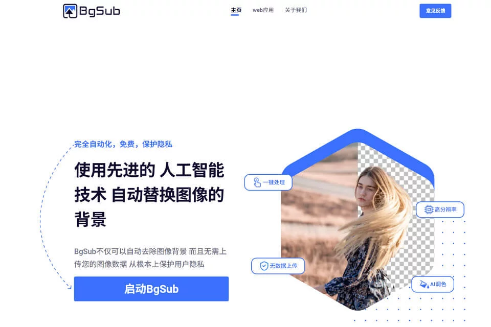 BgSub 网站预览图