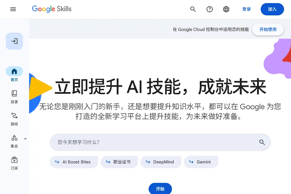 Google Skills 网站预览图