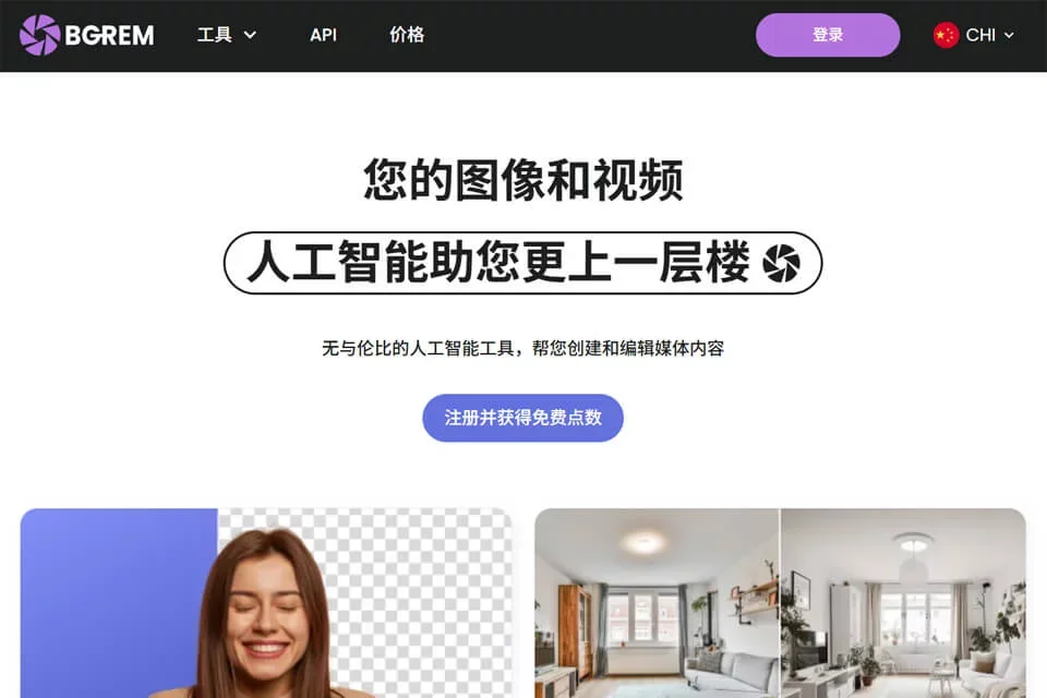 BGREM 网站预览图