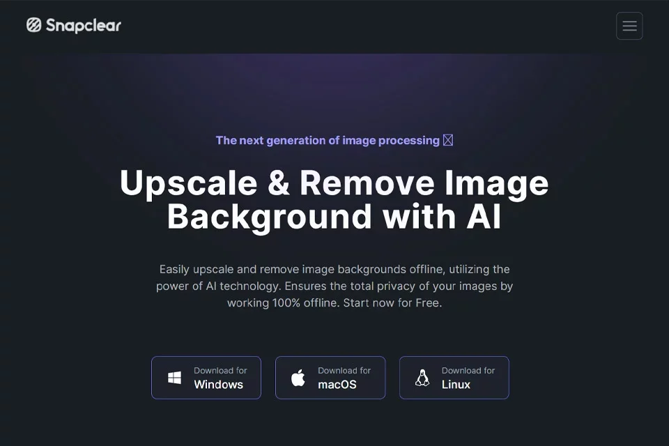 Snapclear 网站预览图