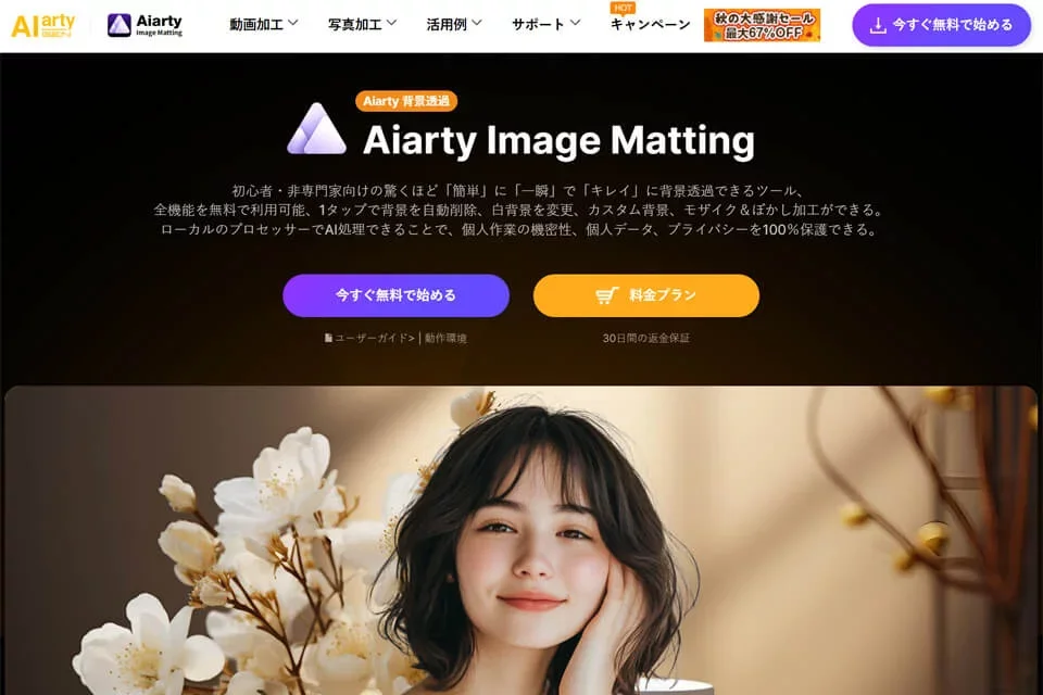 Aiarty Image Matting 网站预览图