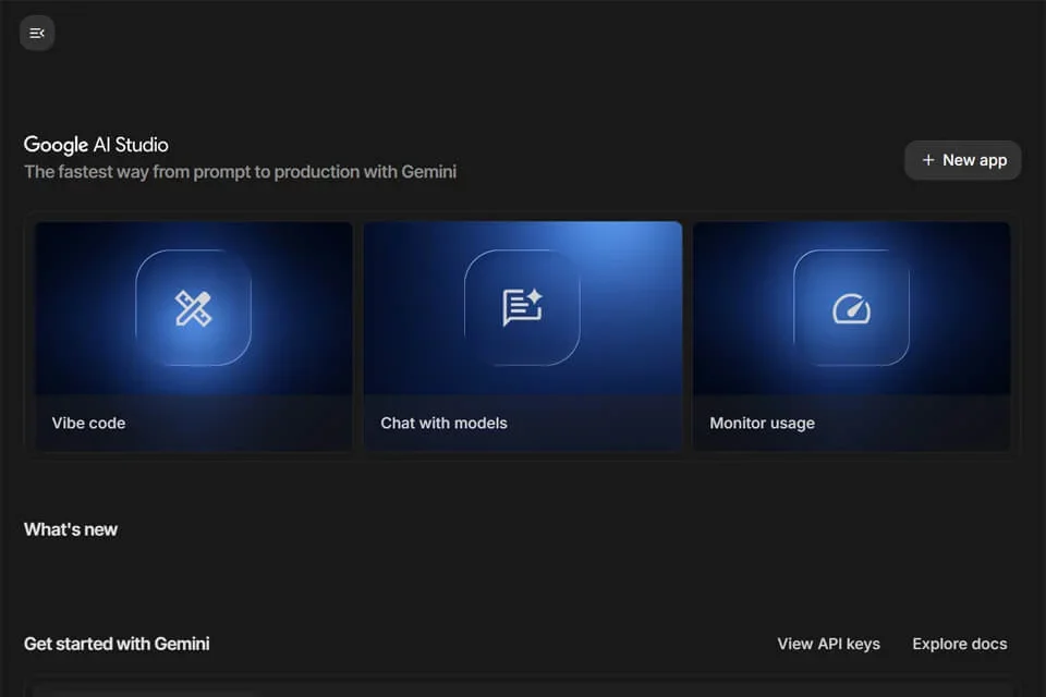 Google AI Studio 网站预览图