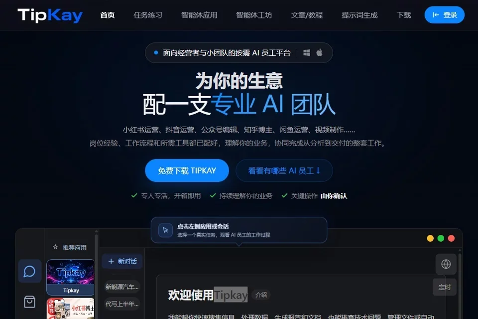 Tipkay 网站预览图