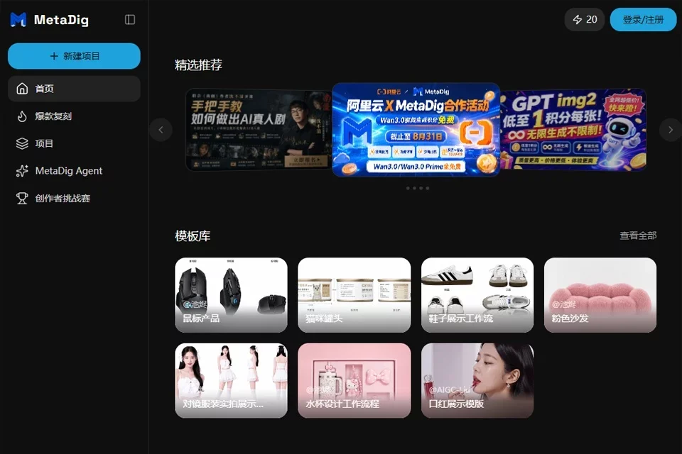MetaDig 网站预览图