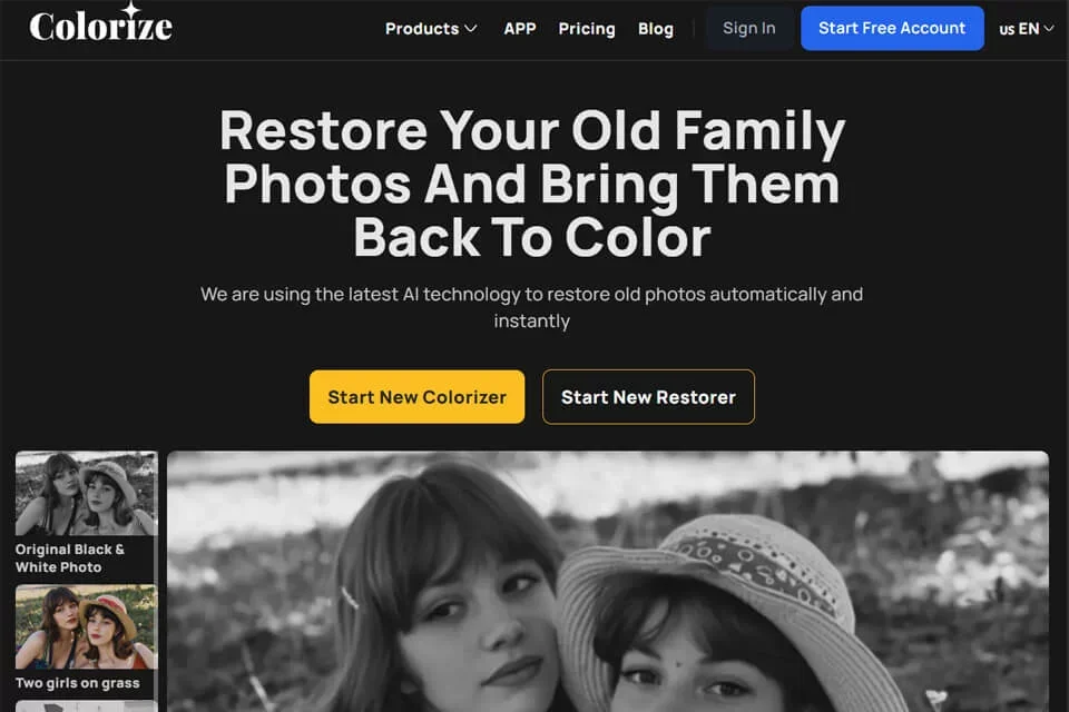 Colorize 网站预览图
